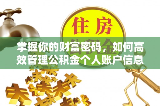 宁县掌握你的财富密码，如何高效管理公积金个人账户信息