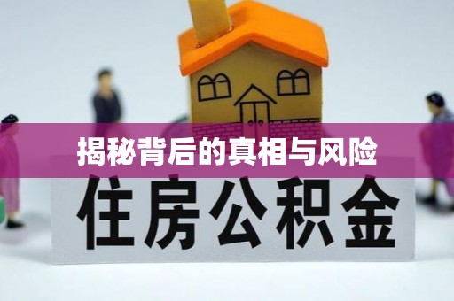 宁县揭秘背后的真相与风险
